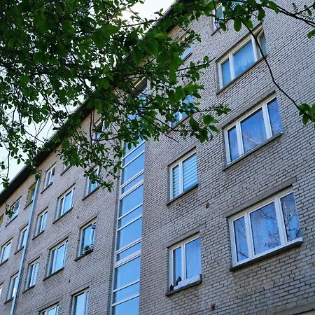 A Cosy Near The Border Daire